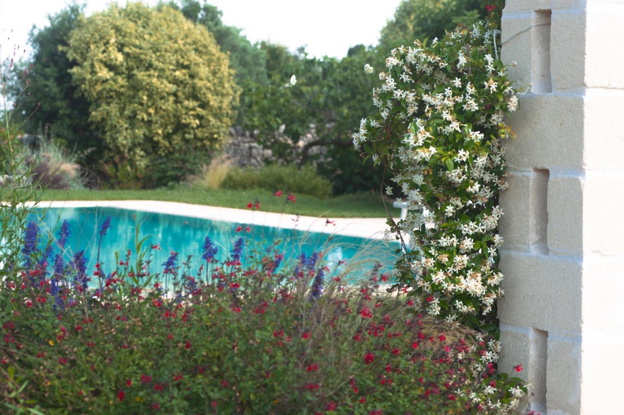 צ'יסטרנינו Agriturismo Masseria Calongo מראה חיצוני תמונה