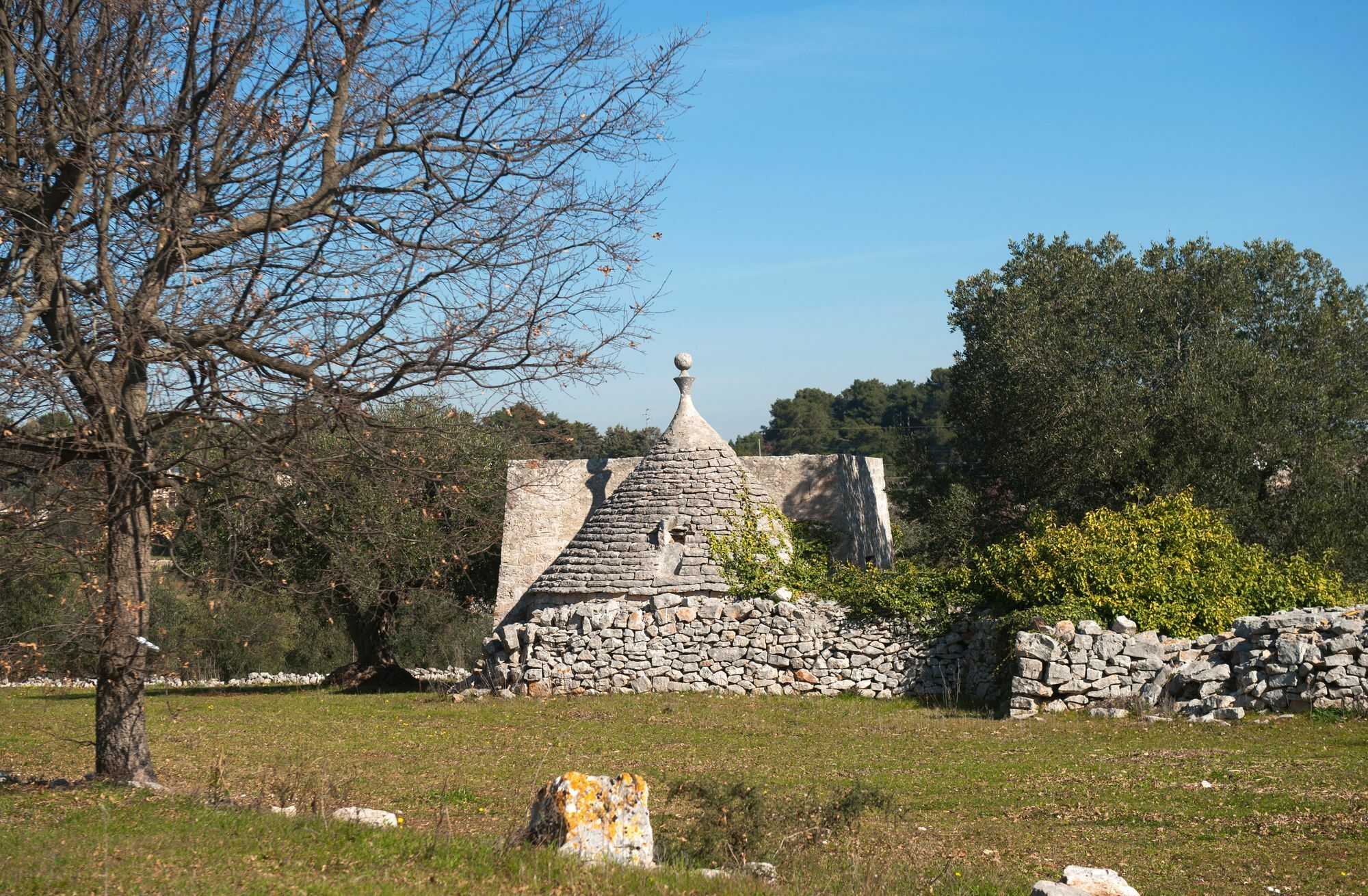 צ'יסטרנינו Agriturismo Masseria Calongo מראה חיצוני תמונה
